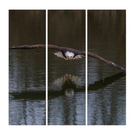 Örn under flygning