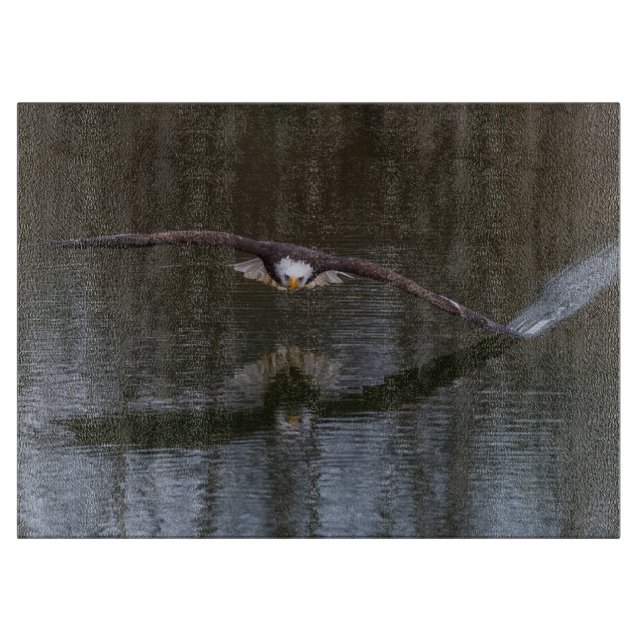 Örn under flygning (Framsidan)