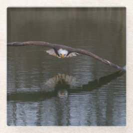 Örn under flygning