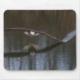 Örn under flygning musmatta