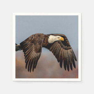 Örn under flygning pappersservett