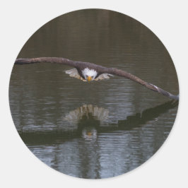 Örn under flygning runt klistermärke