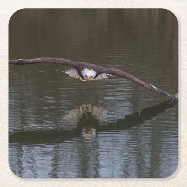 Örn under flygning underlägg papper kvadrat (Framsidan)