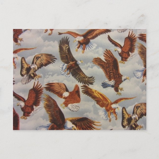 Örn under flygning vykort (Framsida)