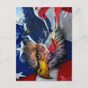 Örn Varg Amerikanska Flagga Vykort