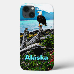 Örn vid Alaska Kusten