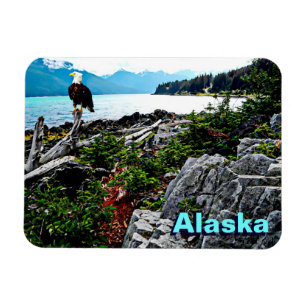 Örn vid Alaska Kusten Magnet