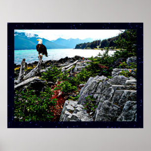 Örn vid Alaska Kusten Poster
