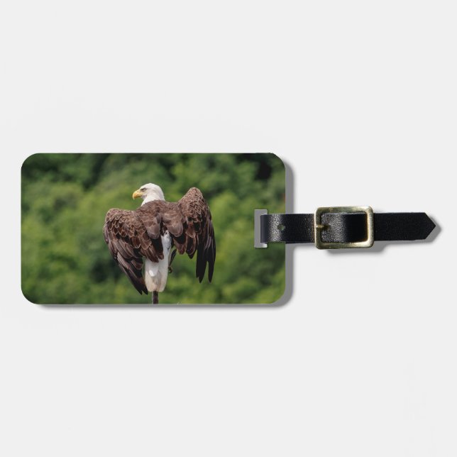 Örn vid gren bagagebricka (Horisontell Framsida)