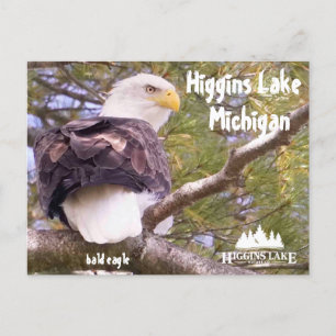 Örn vid Higgins Sjö, Michigan Helg Vykort