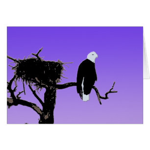 Örn vid Sunset - Original Wildlife Art Hälsningskort