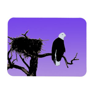 Örn vid Sunset - Original Wildlife Art Magnet