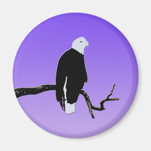 Örn vid Sunset - Original Wildlife Art Magnet