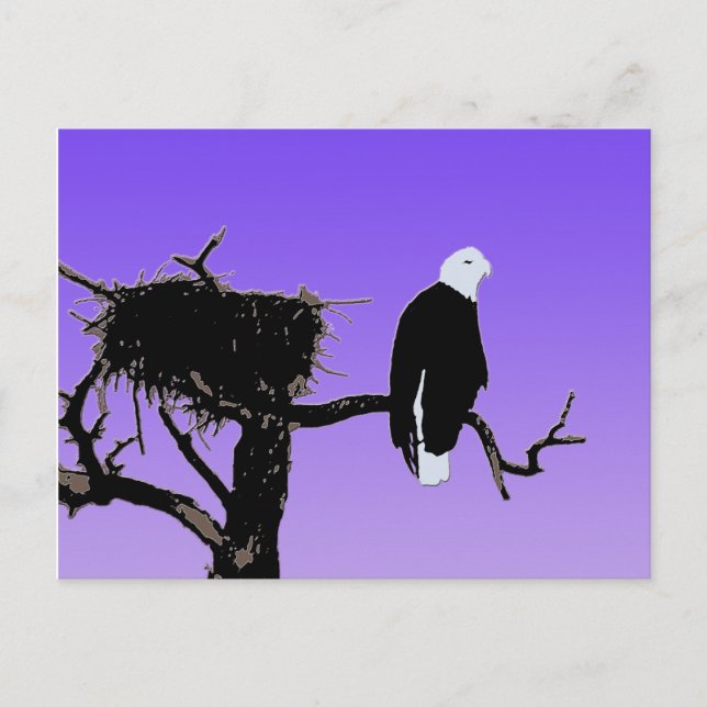 Örn vid Sunset - Original Wildlife Art Vykort (Framsida)