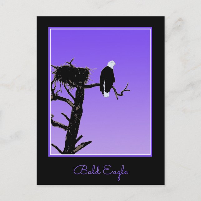 Örn vid Sunset - Original Wildlife Art Vykort (Framsida)