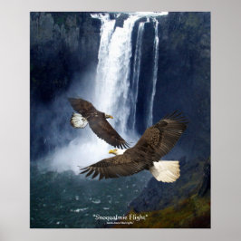 Örn & Waterfall Wildlife Art Poster