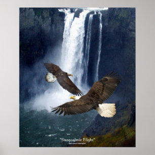Örn & Waterfall Wildlife Art Poster