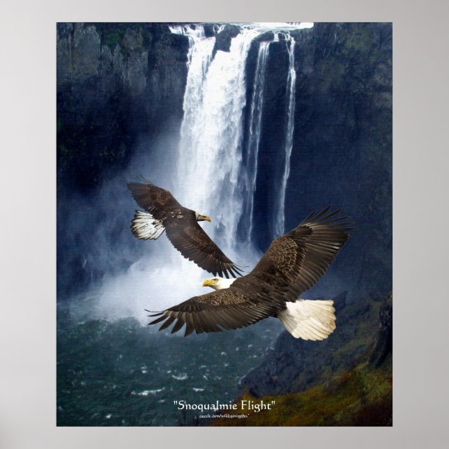 Örn & Waterfall Wildlife Art Poster (Framsidan)