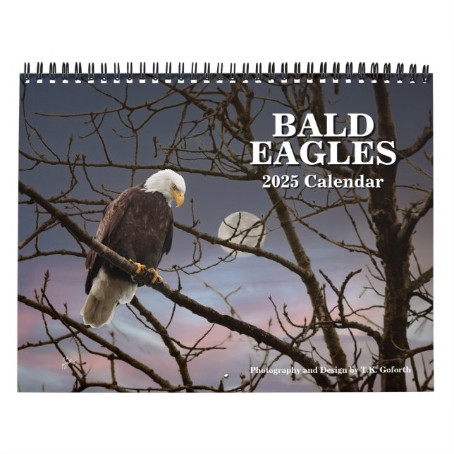 Örn Wildlife Photography Kalender (Omslag)