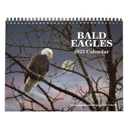 Örn Wildlife Photography Kalender