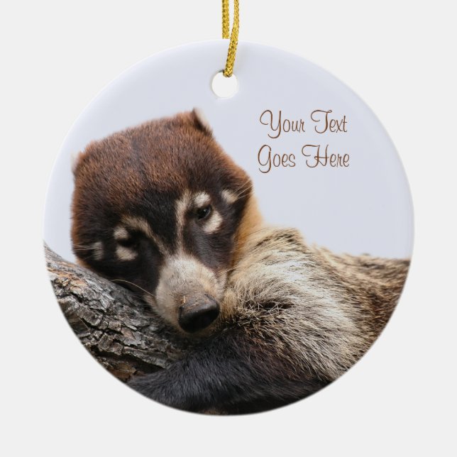 Ornament: Coatimundi #4 (Circle) Julgransprydnad Keramik (Framsidan)