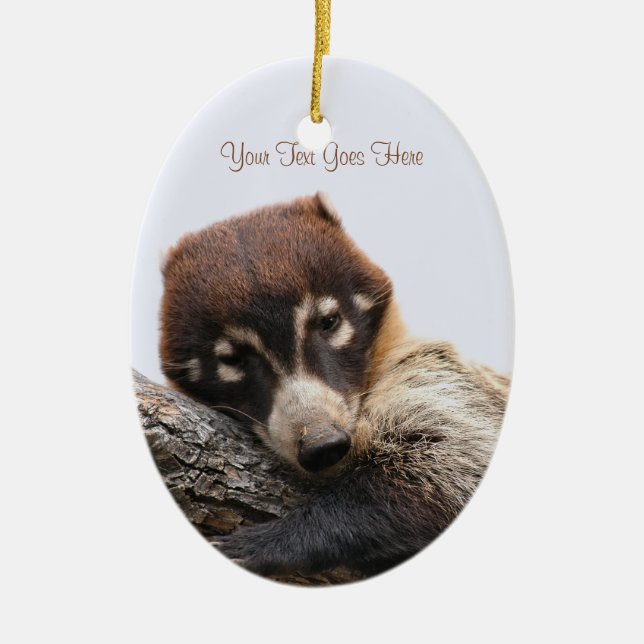 Ornament: Coatimundi #4 (Oval) Julgransprydnad Keramik (Framsidan)