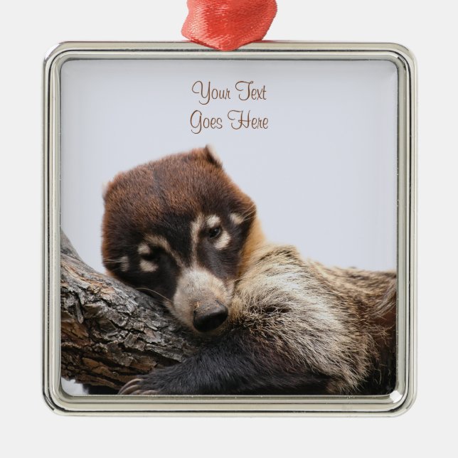Ornament: Coatimundi #4 (Premium Square) Julgransprydnad Metall (Framsidan)