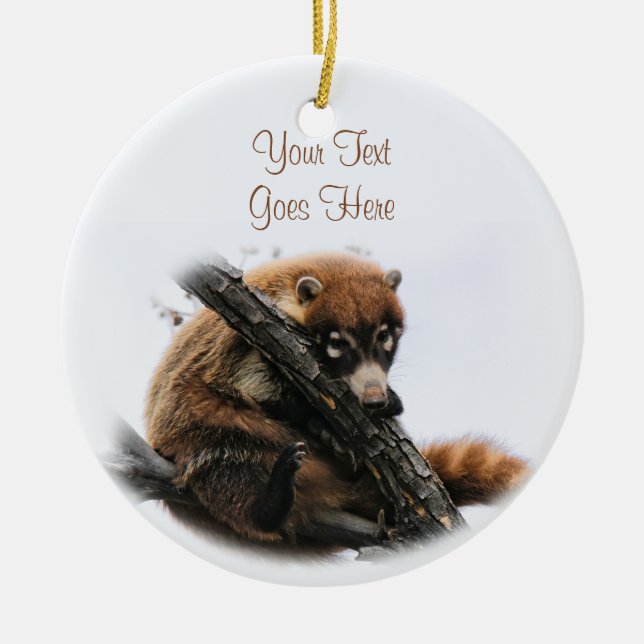 Ornament: Coatimundi #5 (Circle) Julgransprydnad Keramik (Framsidan)