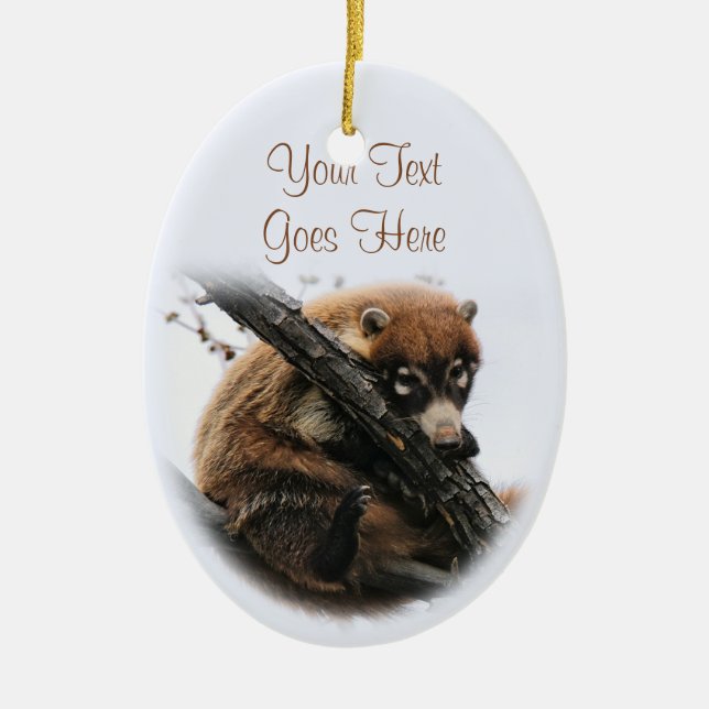 Ornament: Coatimundi #5 (Oval) Julgransprydnad Keramik (Framsidan)