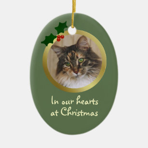 Ornament för anpassadets julklapp