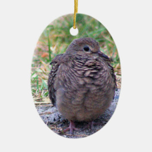 Ornament för befruktning av fågel