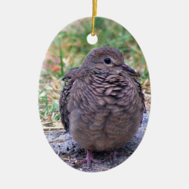 Ornament för befruktning av fågel (Framsidan)