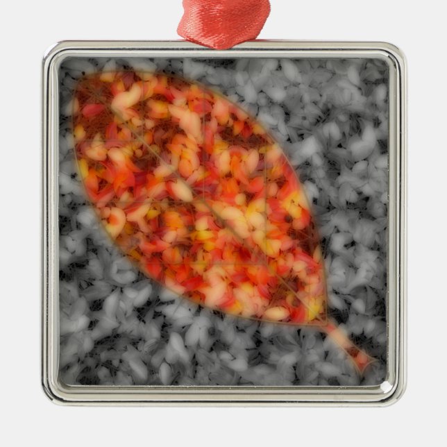 Ornament för BrightStor Shadows (Framsidan)