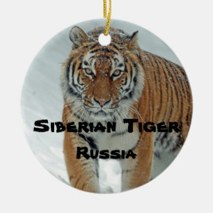 Ornament för den sibiriska tigern i serien med utr