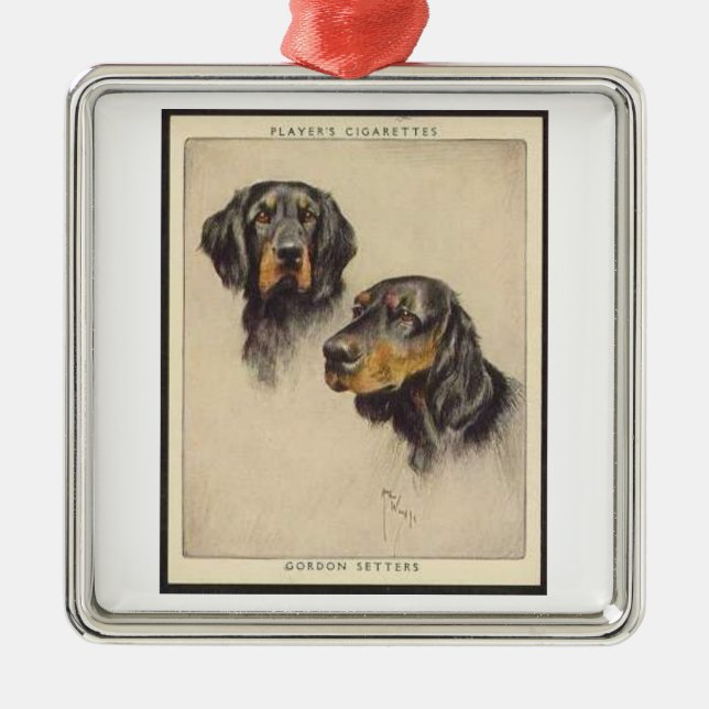 Ornament för Gordon Setter Player Cigarette Card (Framsidan)