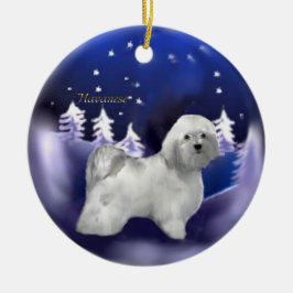 Ornament för Havanese jul-julklappar