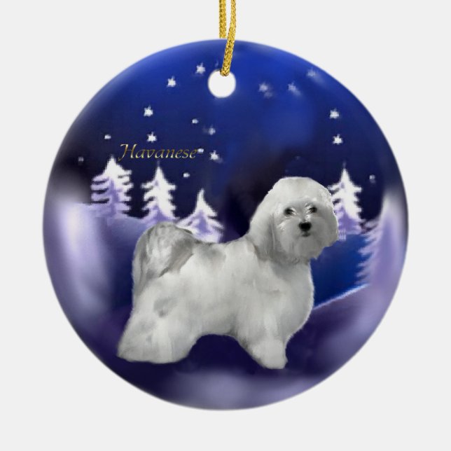 Ornament för Havanese jul-julklappar (Framsidan)