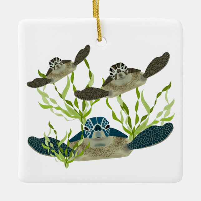 Ornament för havssköldpaddor (Framsida)
