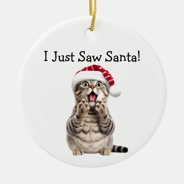 Ornament för helgdag Antics Cat Ornament (Framsidan)