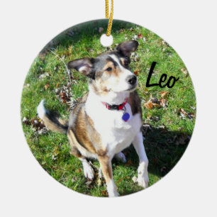 Ornament för Hund av anpassningsbar