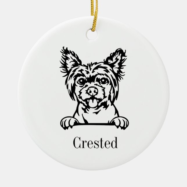Ornament för kinesisk bestnad av hund (Framsidan)