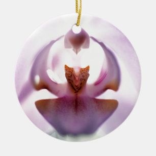 Ornament för Orchid-utskrift