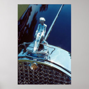 Ornament för Packard Adonis-radiator Poster
