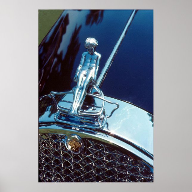 Ornament för Packard Adonis-radiator Poster (Framsidan)