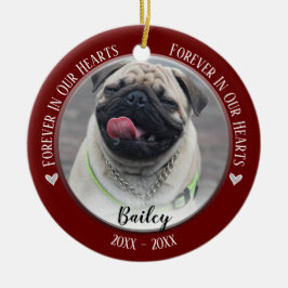 Ornament för Photo Pet Memorial Keepsak