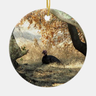 Ornament för Turkiets paradise