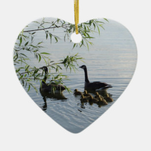 Ornament för Vild gäss