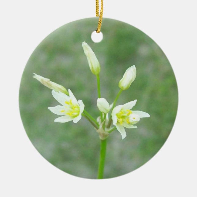 Ornament för Yard Flowers Memorial (Framsidan)