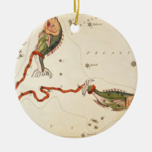 Ornament för Zodiac Sign: Pisces