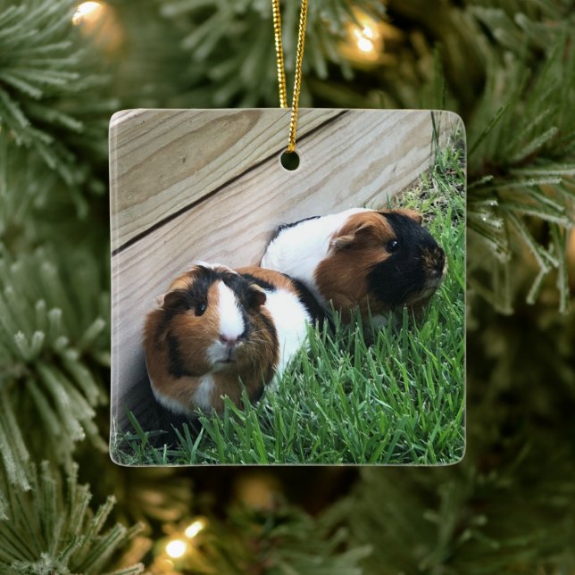 Ornament - Guinea Grisar (Träd)